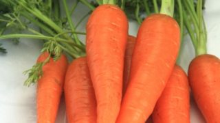 にんじん メリット アレルギー